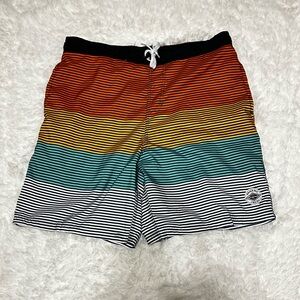 Panama Jack Multicolor Striped Swim Shorts